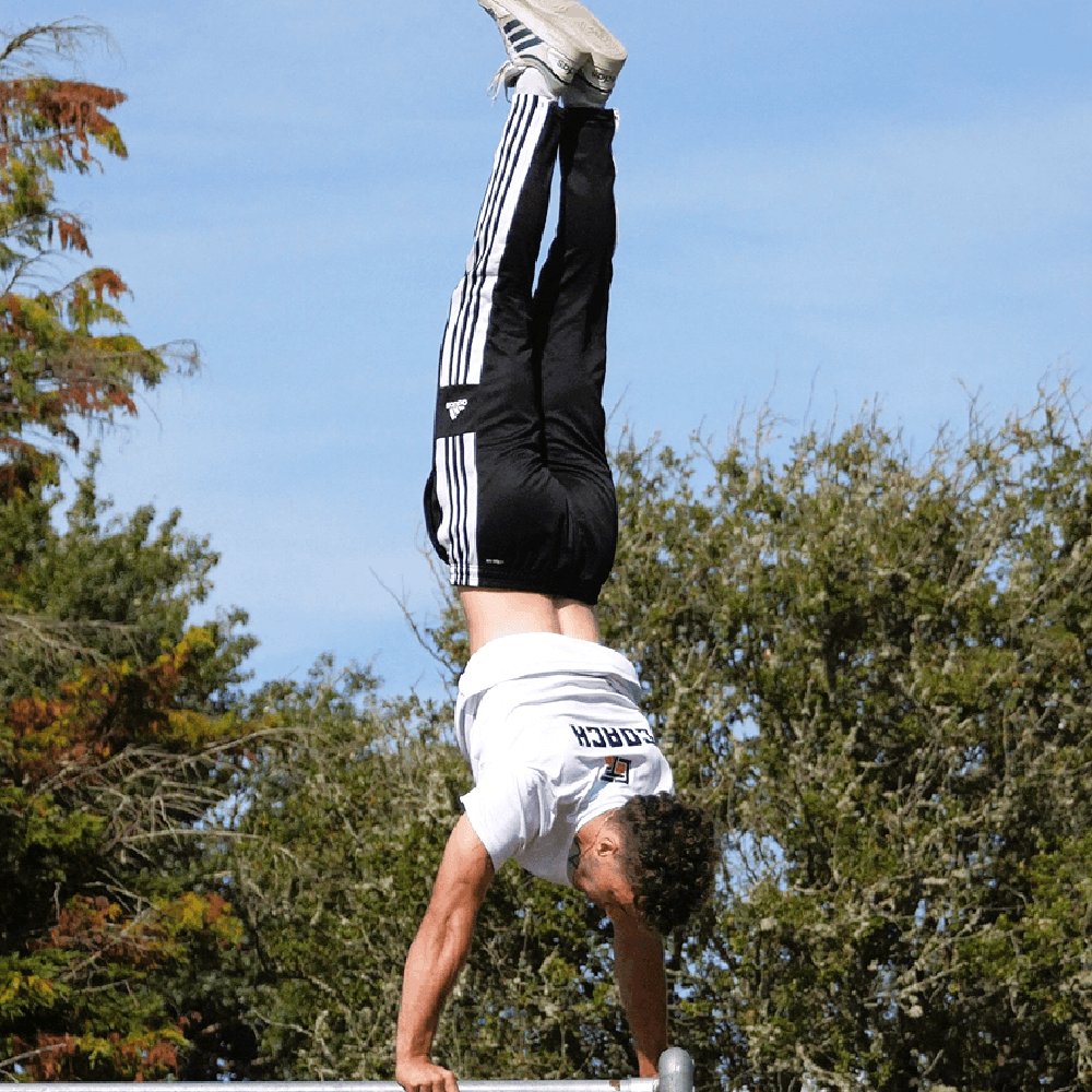 Performance THE CROW